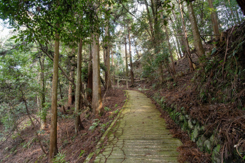 屋根掃除.jpg