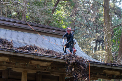 屋根掃除-145.jpg