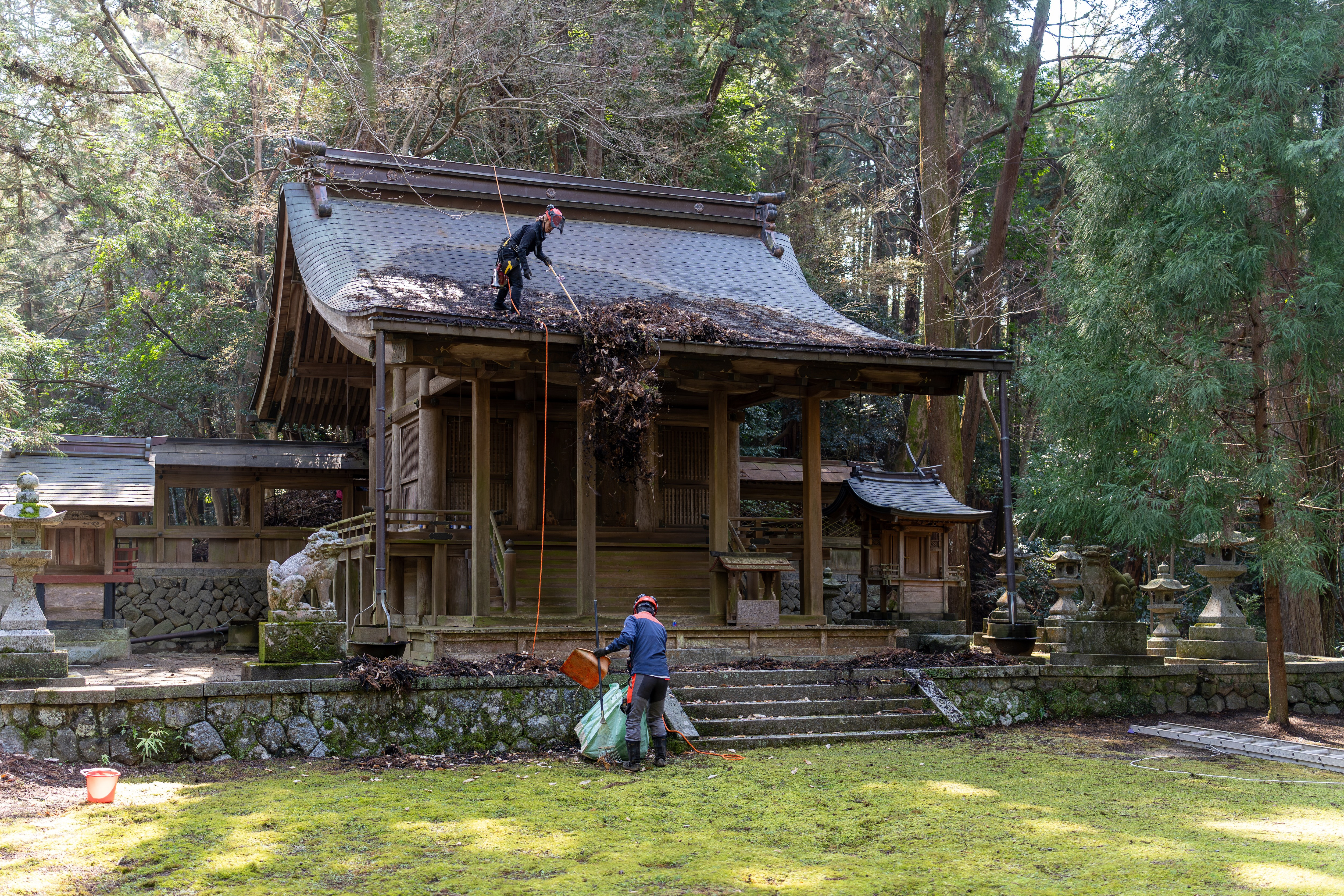 明日香村森林組合　飛鳥川上坐宇須多岐比売命神社の屋根掃除