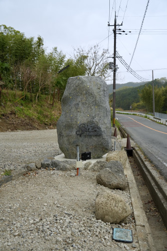 DSC09987.JPG