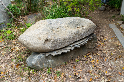 20260409-23.jpg