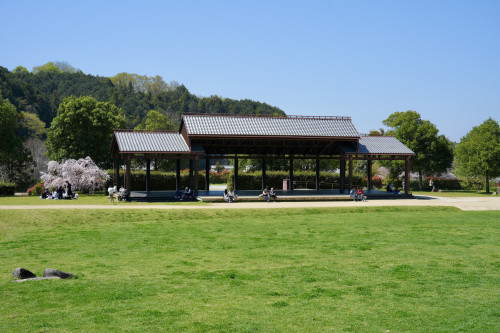 DSC00042.JPG