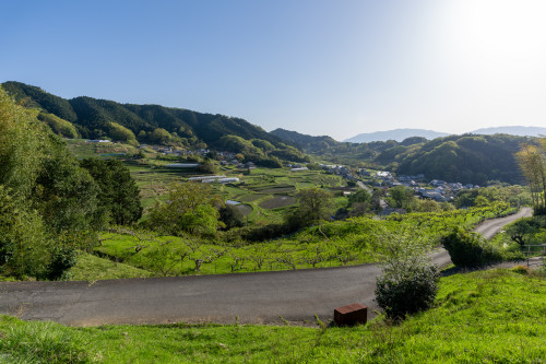あまり知られていない絶景ポイント？