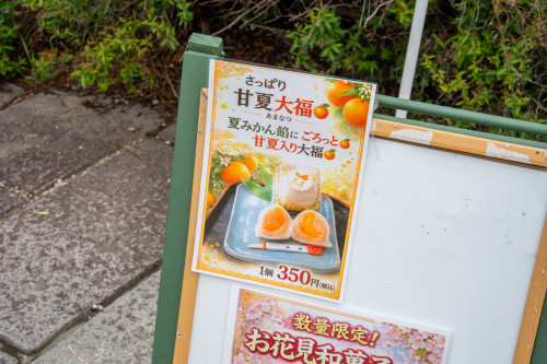 今西誠進堂20260424-10.jpg