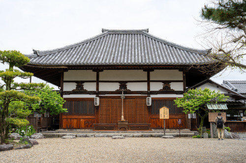 飛鳥寺キティ-17.jpg