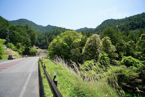 明日香村の上