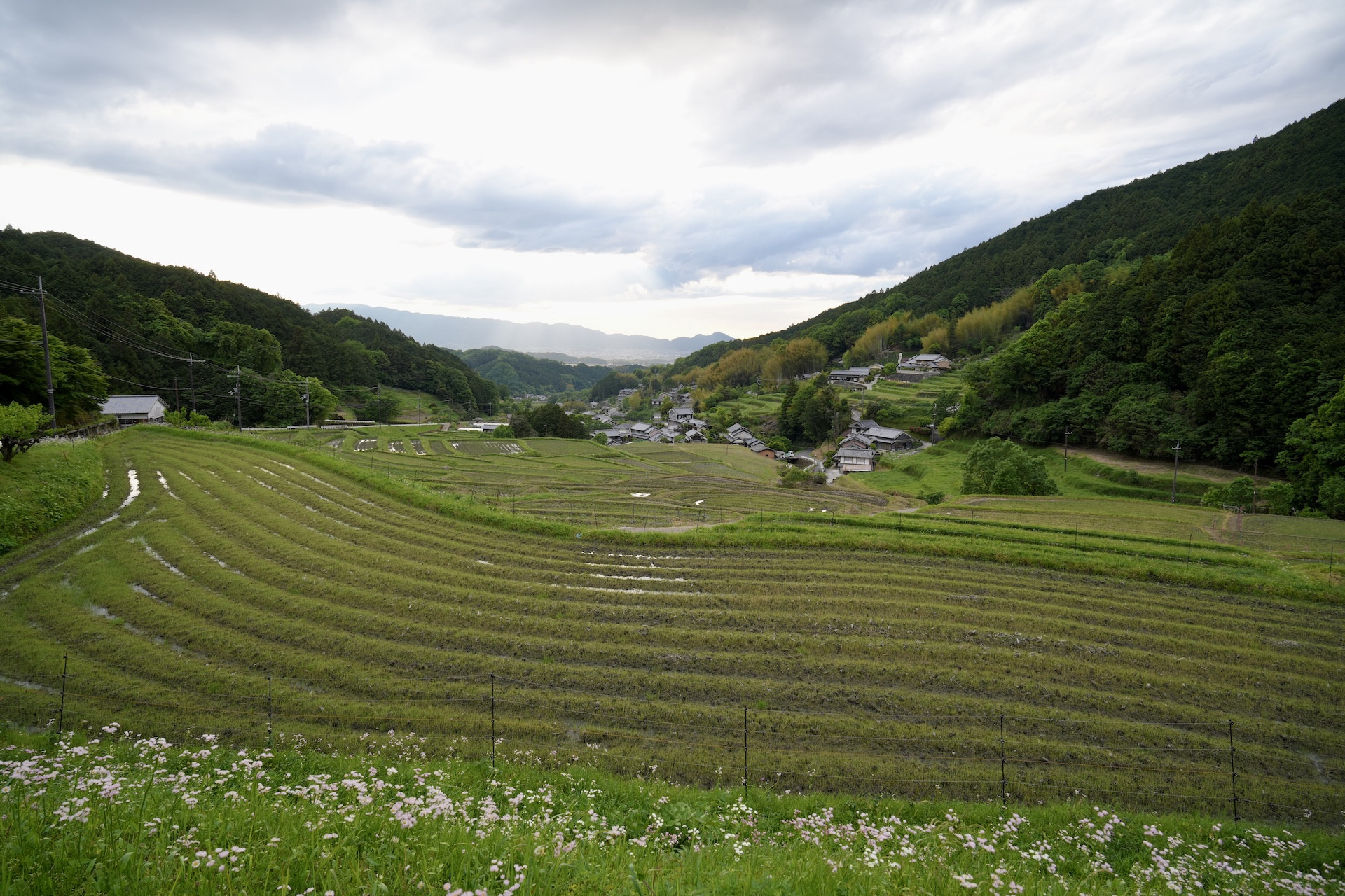 細川の棚田