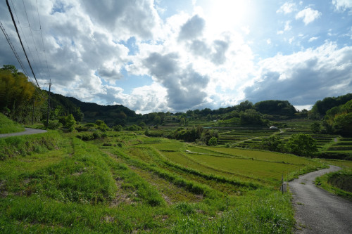 DSC04753のコピー.JPG