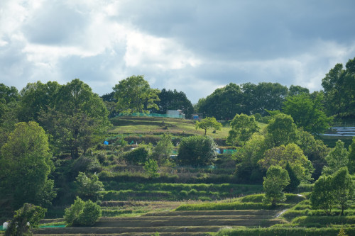 DSC04754のコピー.JPG