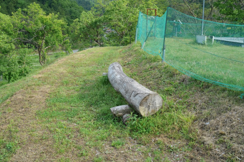 DSC04763のコピー.JPG