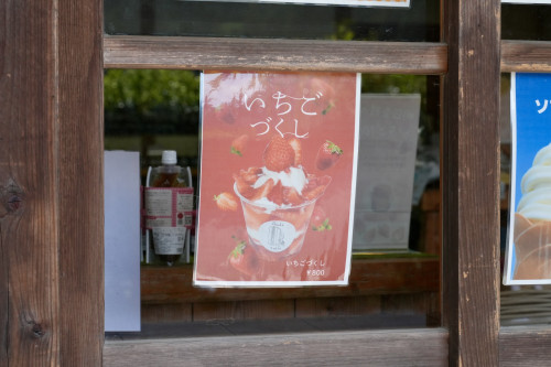 DSC06182.JPG