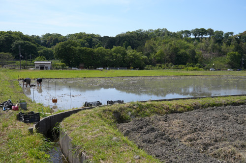 DSC06102のコピー.JPG