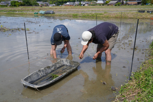 DSC06109のコピー.JPG