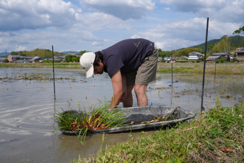 DSC06124のコピー.JPG