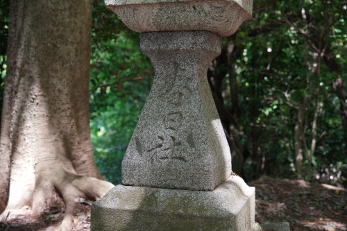 DSC05040のコピー.JPG