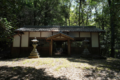 DSC05034のコピー.JPG