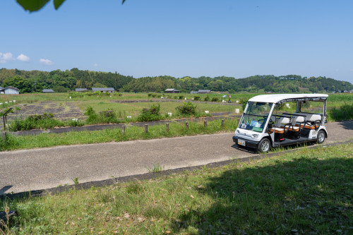 グリスロ-6.jpg