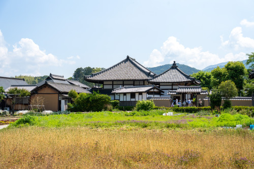 グリスロ-25.jpg