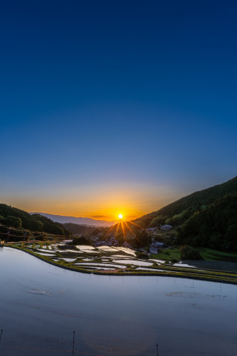 棚田20260529-4.jpg