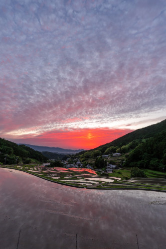 細川20260530-4.jpg