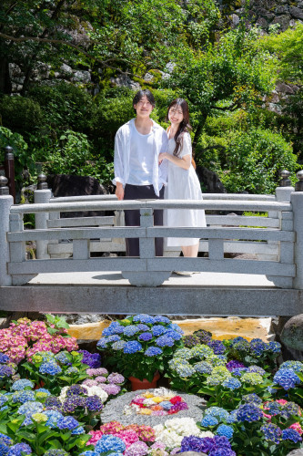 岡寺紫陽花20260610-7.JPG