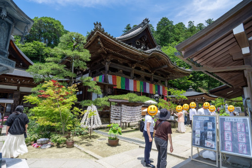 岡寺紫陽花20260610-11.JPG