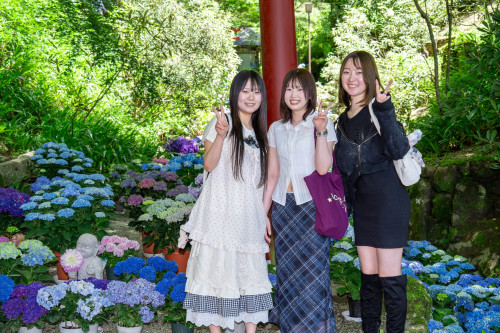 岡寺紫陽花20260610-35.JPG