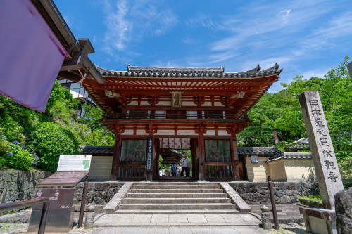 岡寺紫陽花20260610.jpg
