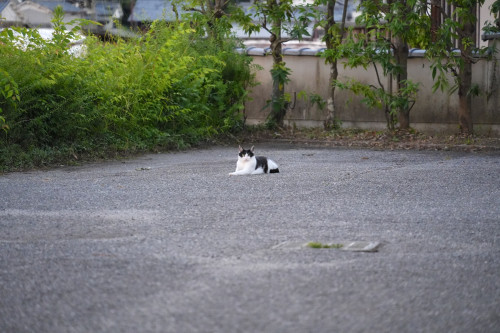 DSC05690.JPG