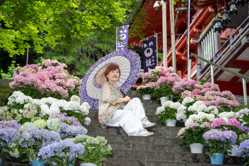 現在開催中！！【談山神社・紫陽花と観音まつり】・記者オススメの写真撮影ポイント&撮影会のお知らせ📷