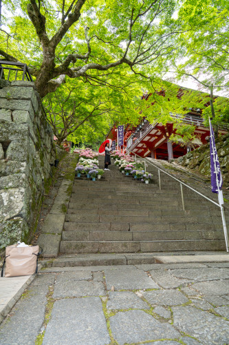 談山神社260619-1920-25.jpg