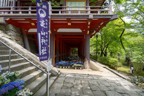談山神社260619-1920-34.jpg