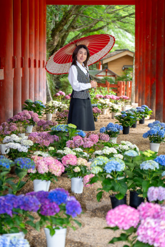 談山神社260619-1920-30.jpg