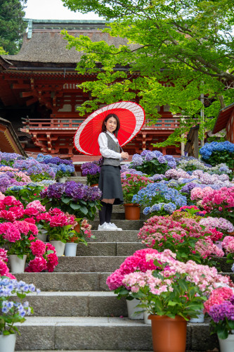 談山神社260619-1920-41.jpg