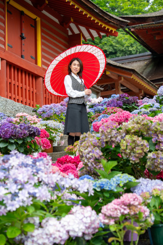 談山神社260619-1920-45.jpg
