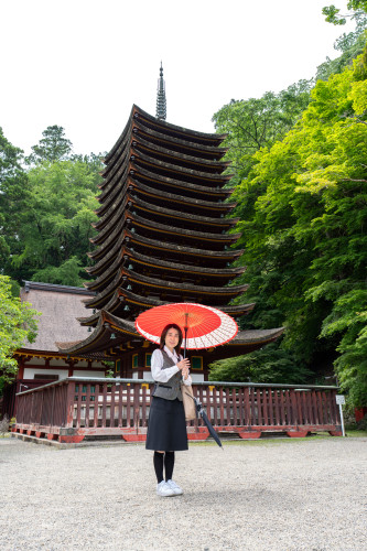 談山神社260619-1920-35.jpg