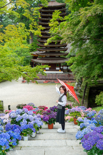 談山神社260619-1920-48.jpg