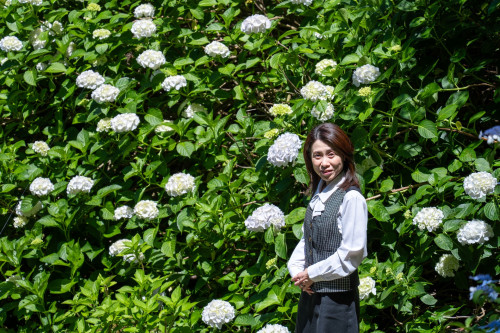 岡寺紫陽花20260610-19のコピー.jpg