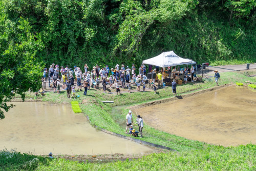 田植え祭り20260621-1のコピー.jpg