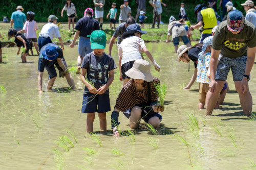 田植え祭り20260621-38のコピー.jpg