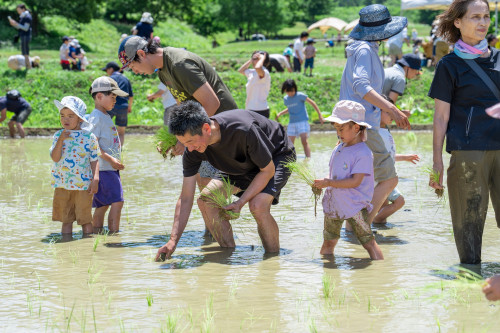 田植え祭り20260621-47のコピー.jpg