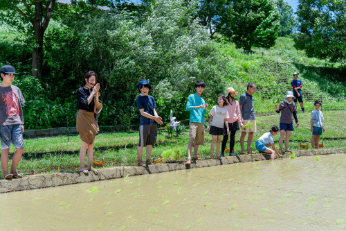 田植え祭り1920-33.jpg