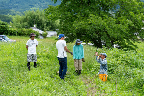 tarutarufarm-20.jpg