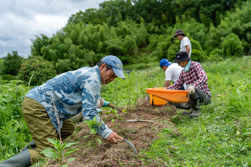 tarutarufarm-42.jpg