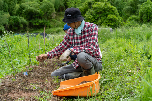 tarutarufarm-43.jpg