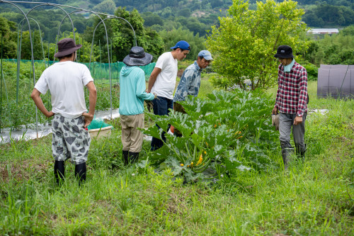 tarutarufarm-64.jpg