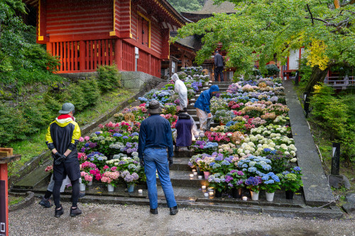 談山神社20260704-2.jpg