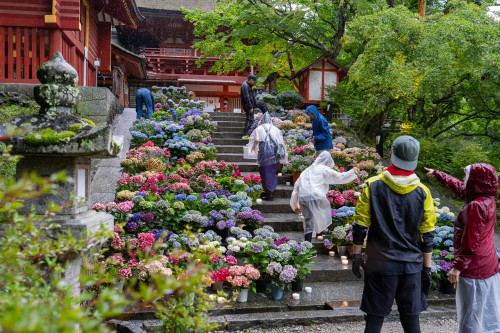 談山神社20260704-3.jpg
