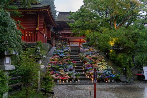 談山神社20260704-8.jpg