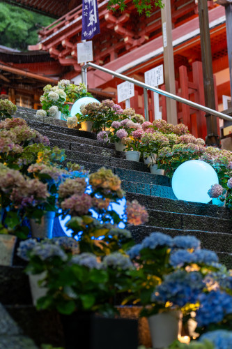 談山神社20260704-10.jpg